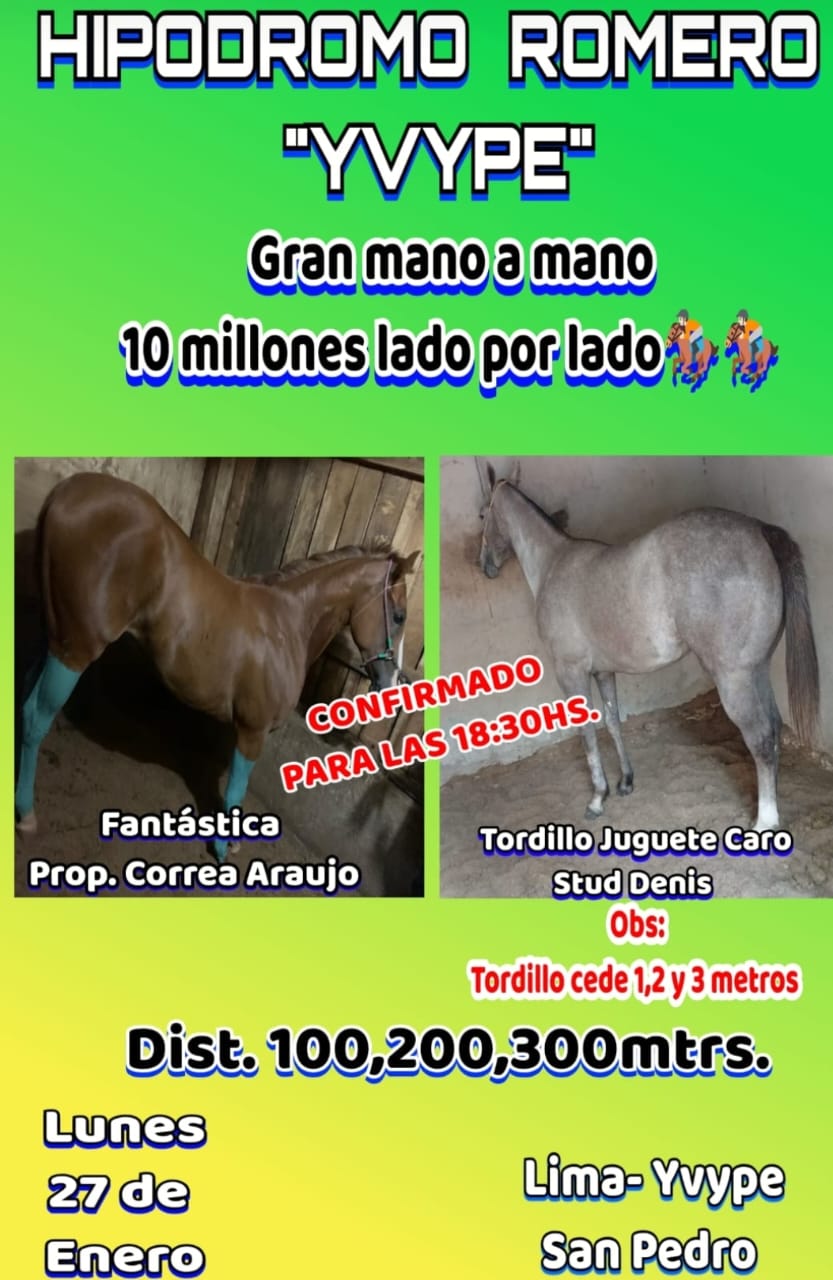 Desafio - Fantastica vs Tordillo Jueguete