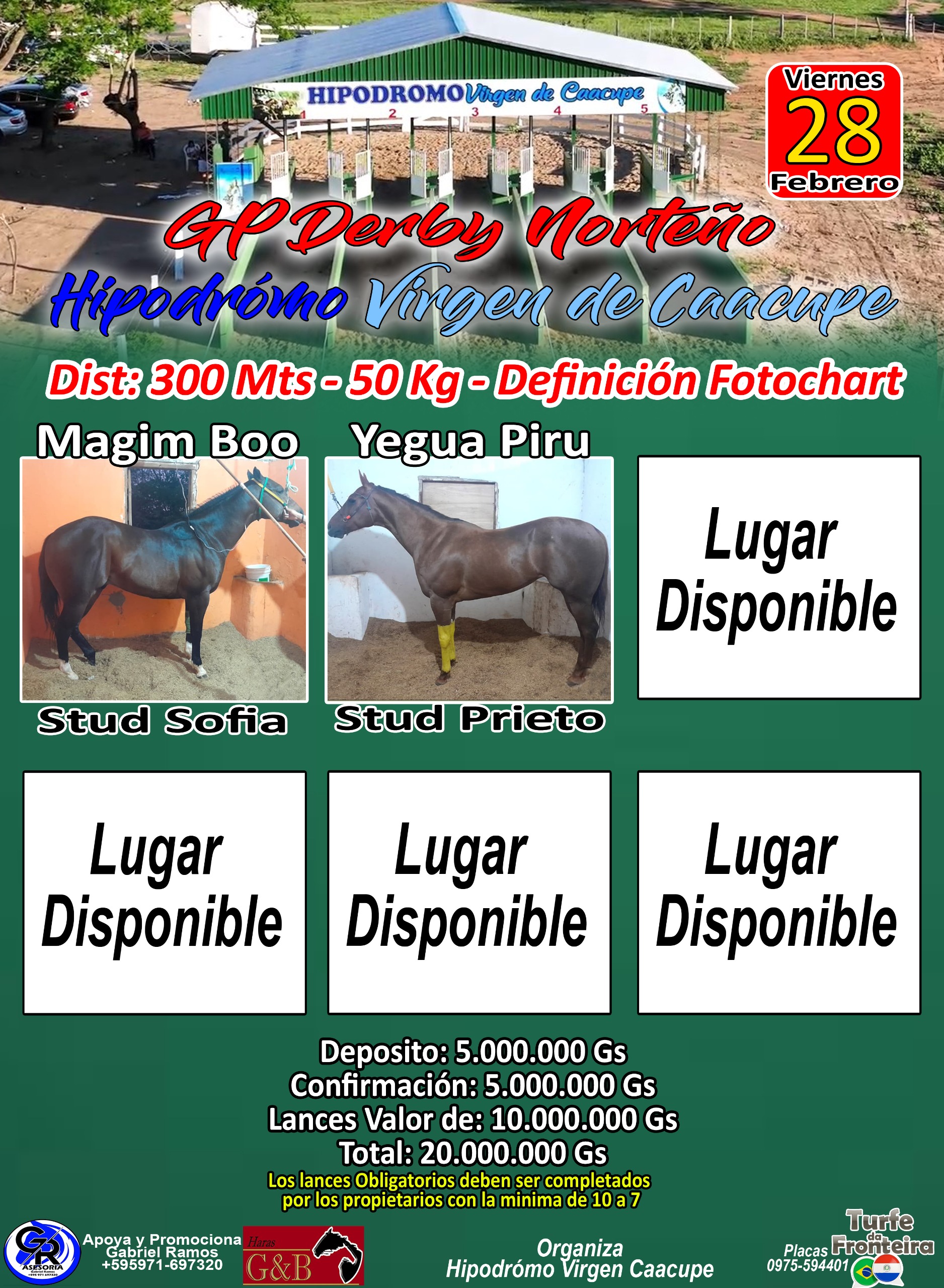 WhatsApp Image 2024-11-19 at 12.15.32