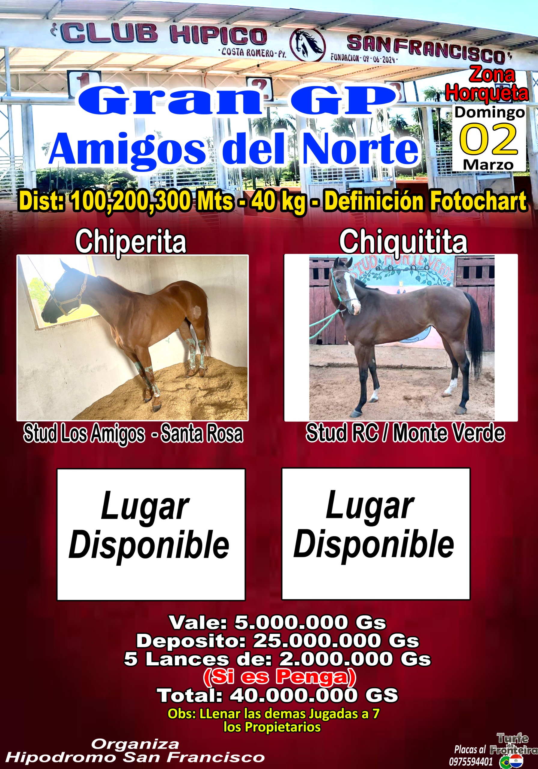 WhatsApp Image 2025-01-16 at 21.24.28