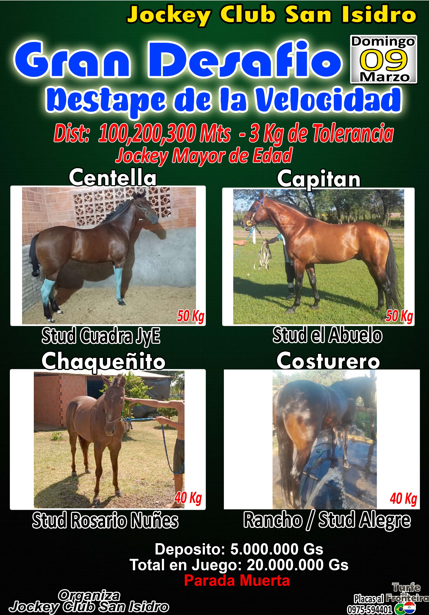 WhatsApp Image 2025-01-20 at 14.10.57 (1)