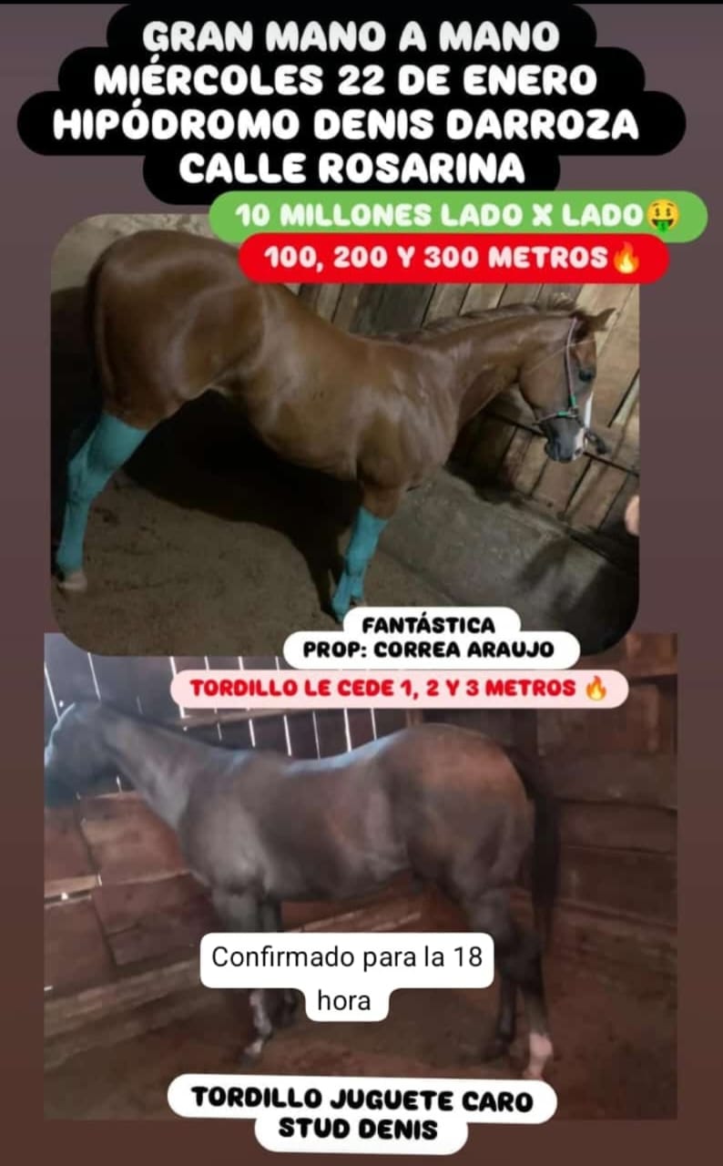 WhatsApp Image 2025-01-21 at 23.07.51