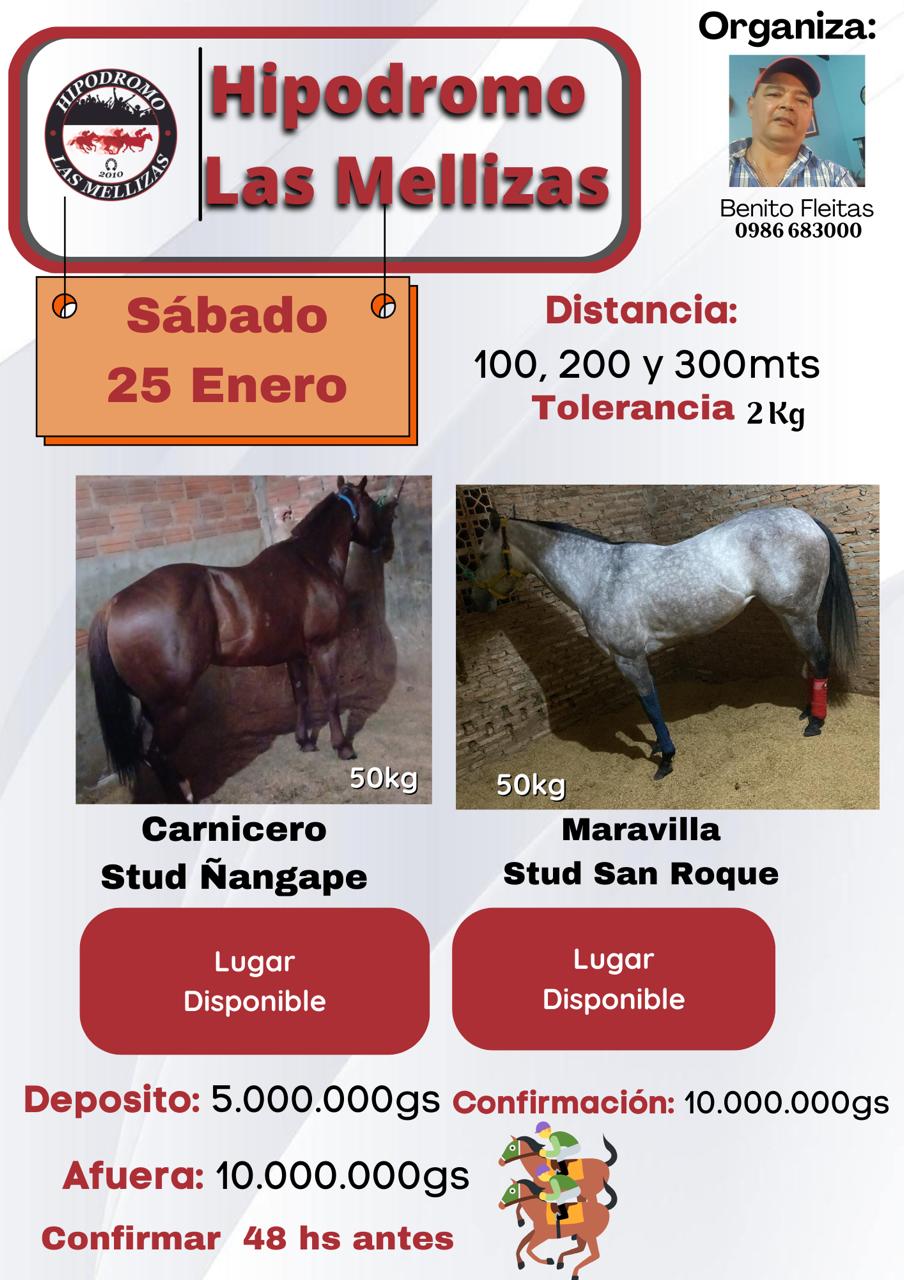 WhatsApp Image 2025-01-25 at 20.57.53