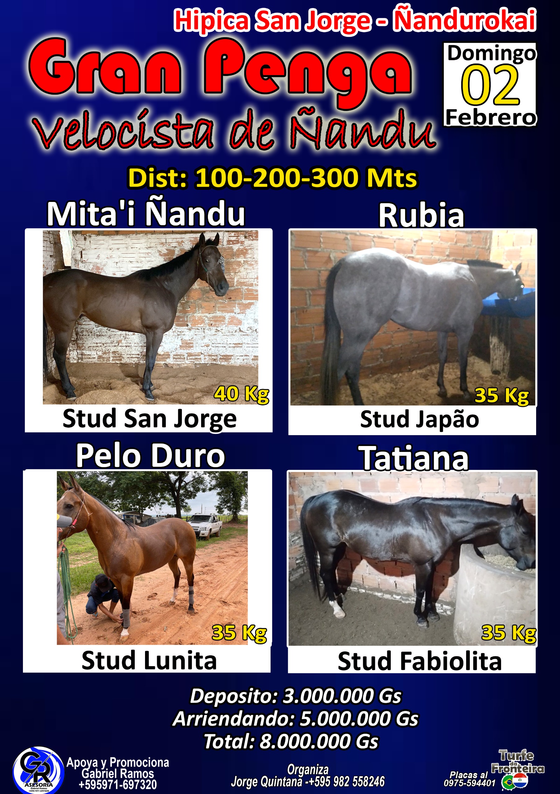 WhatsApp Image 2025-01-26 at 13.43.02