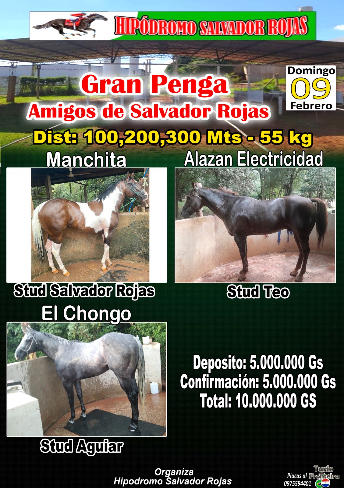 WhatsApp Image 2025-01-28 at 14.56.19