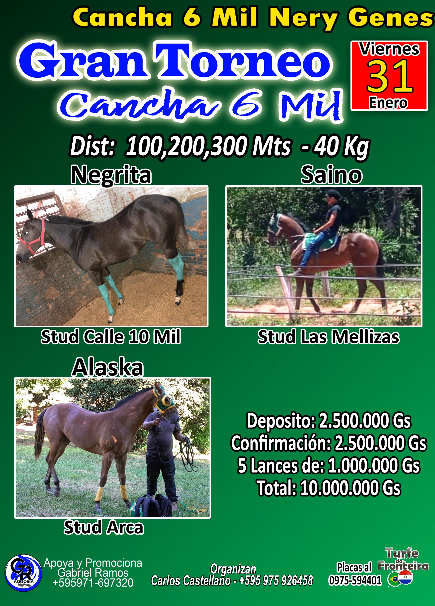 WhatsApp Image 2025-01-28 at 17.22.35