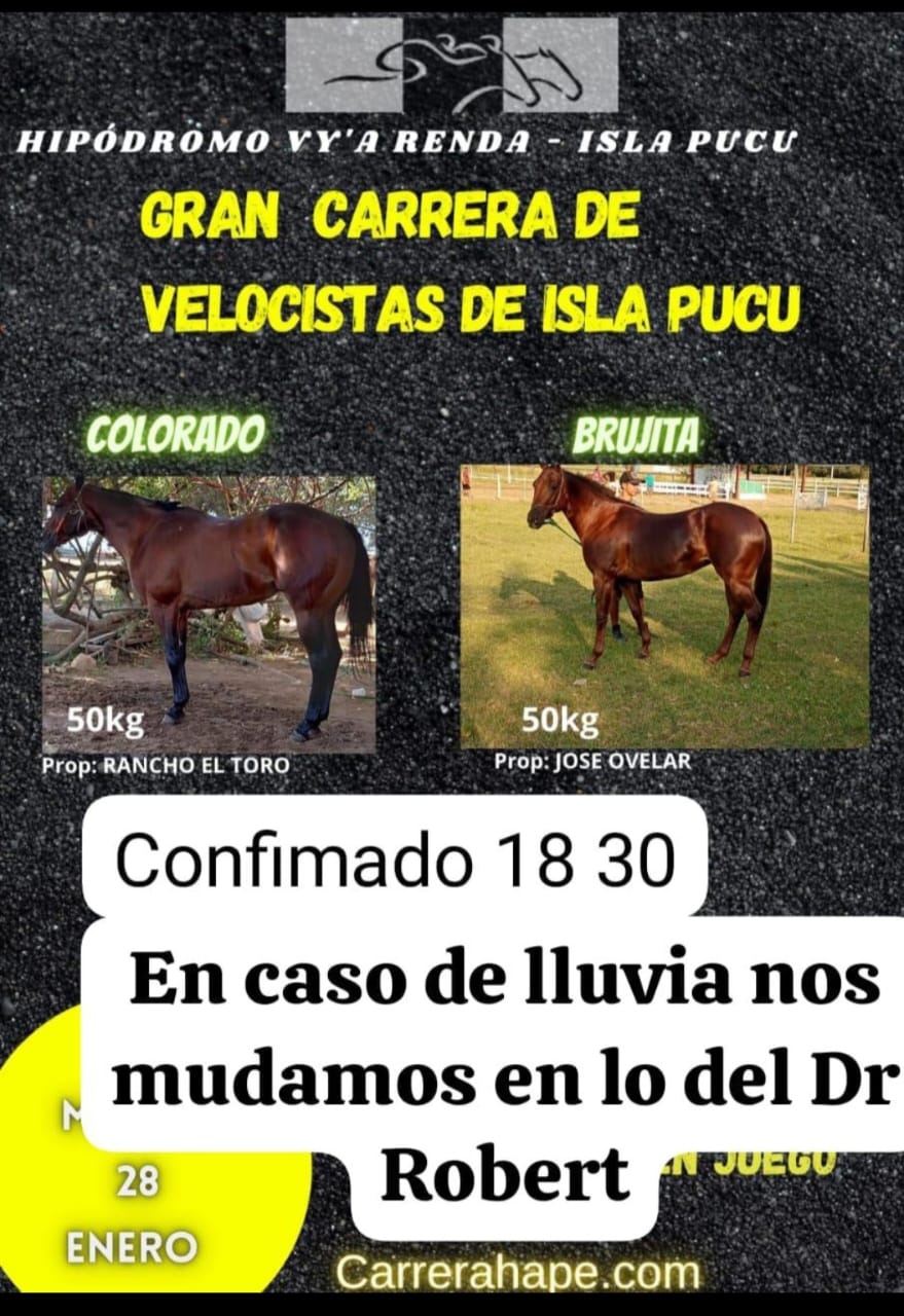 WhatsApp Image 2025-01-28 at 17.33.18