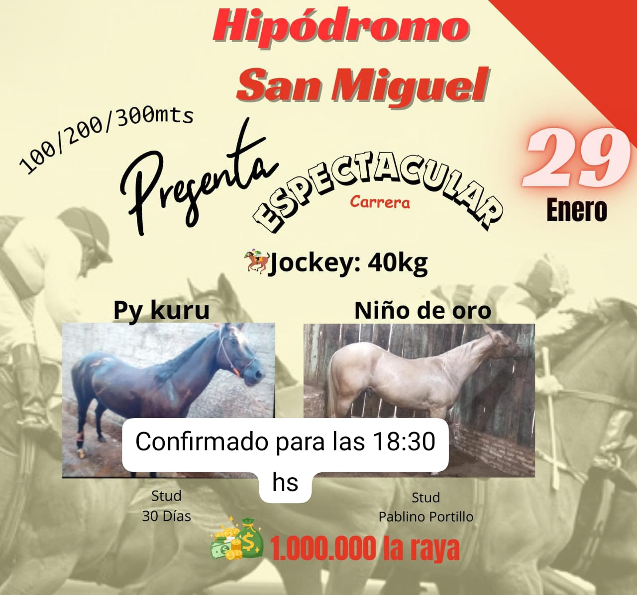 WhatsApp Image 2025-01-29 at 09.40.33