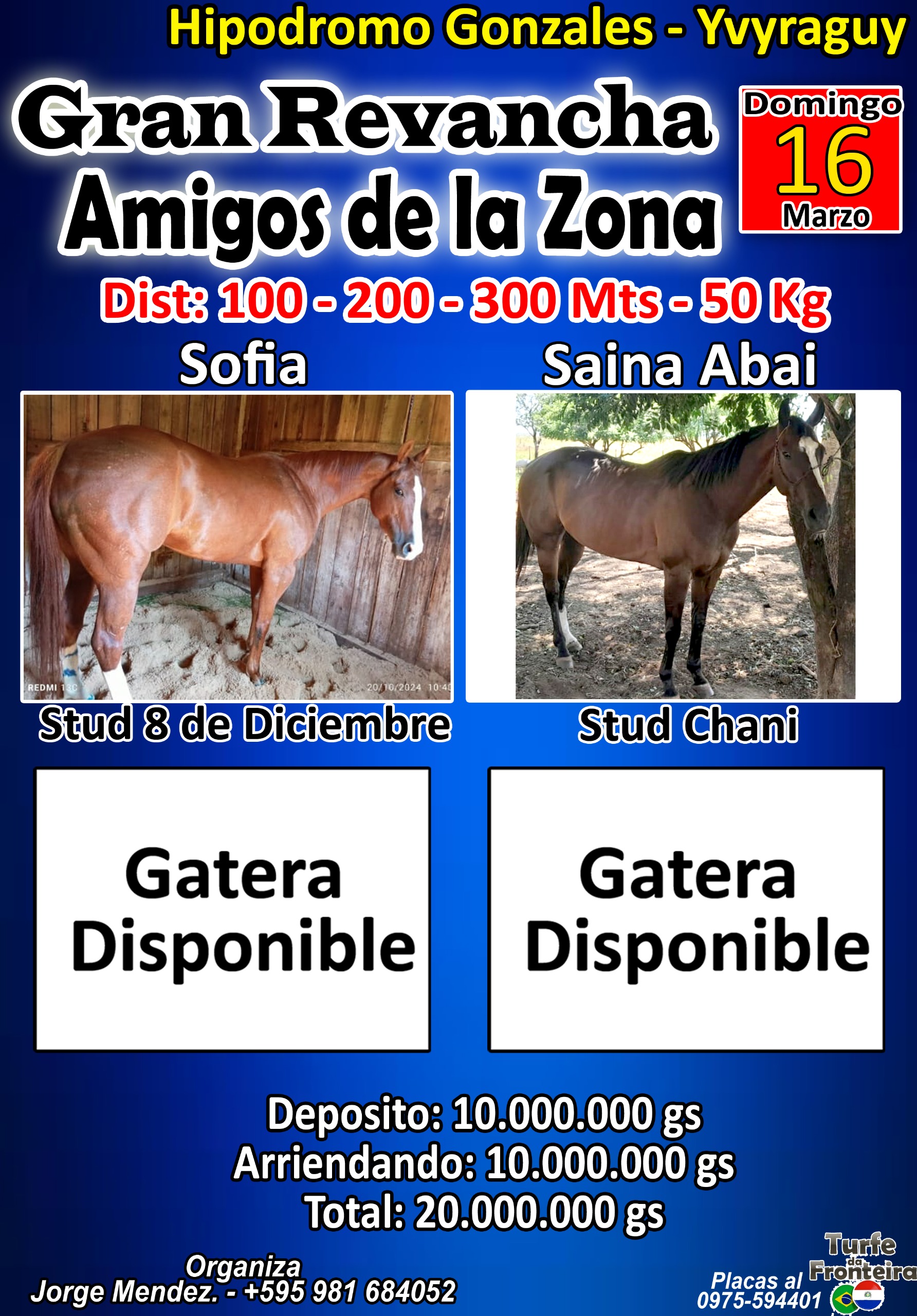 WhatsApp Image 2025-01-31 at 14.06.02