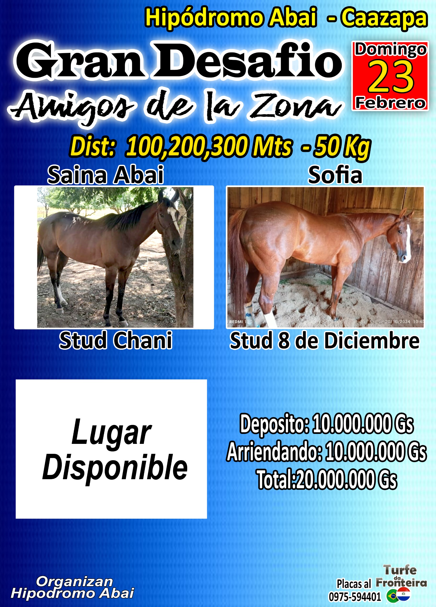 WhatsApp Image 2025-01-31 at 19.18.31