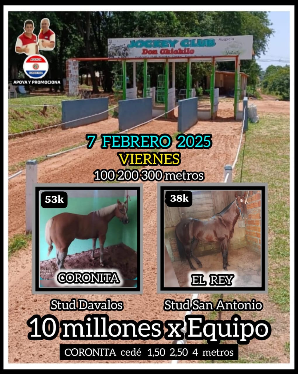 WhatsApp Image 2025-02-03 at 21.55.40