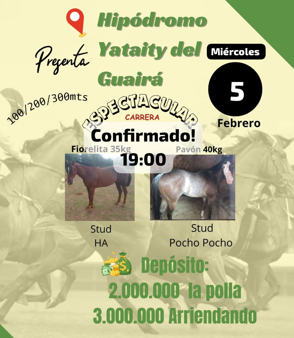 WhatsApp Image 2025-02-04 at 20.46.58