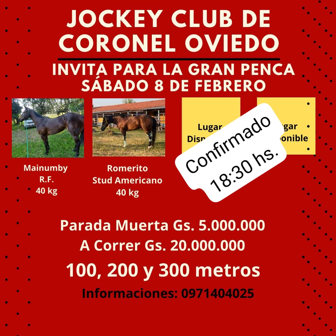 WhatsApp Image 2025-02-06 at 16.12.37