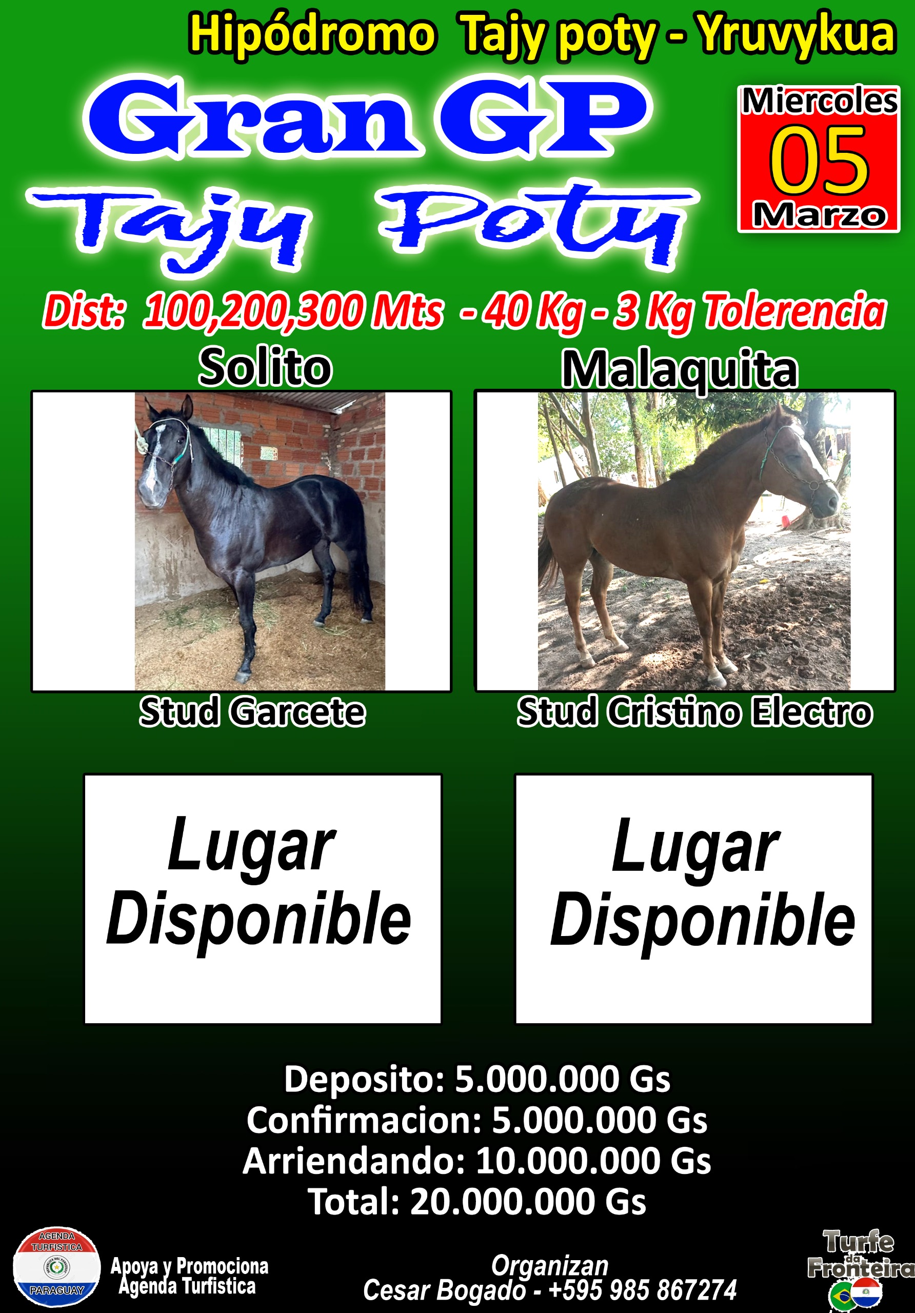 WhatsApp Image 2025-02-06 at 21.59.45