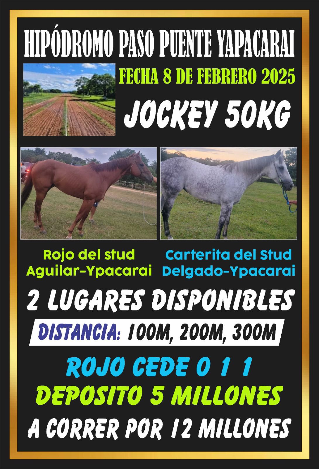 WhatsApp Image 2025-02-07 at 12.32.27