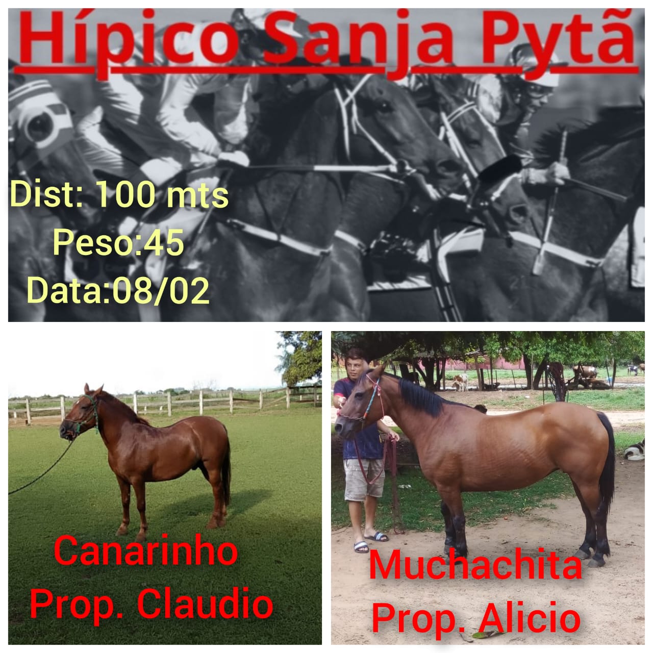 WhatsApp Image 2025-02-07 at 12.35.53