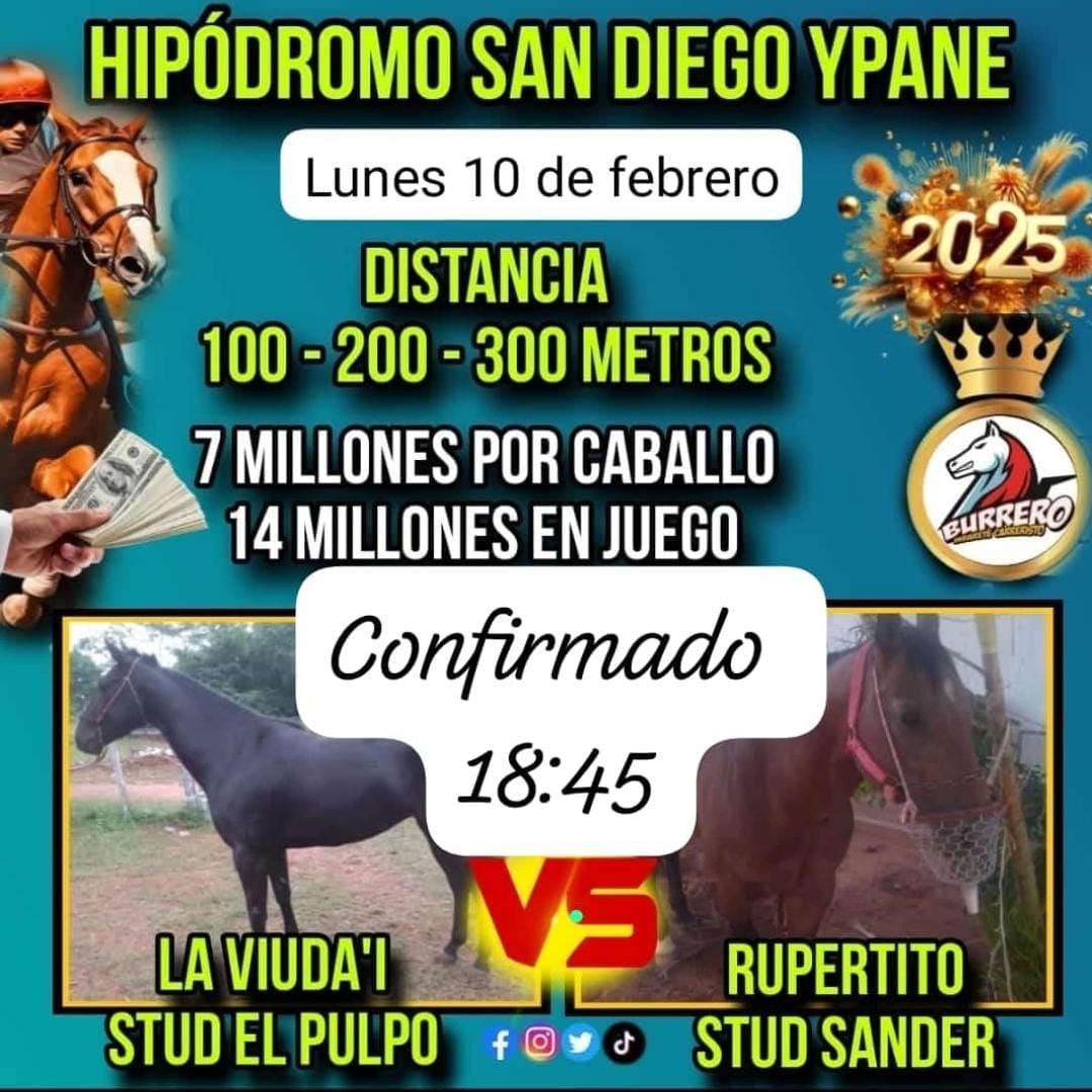 WhatsApp Image 2025-02-10 at 19.23.22