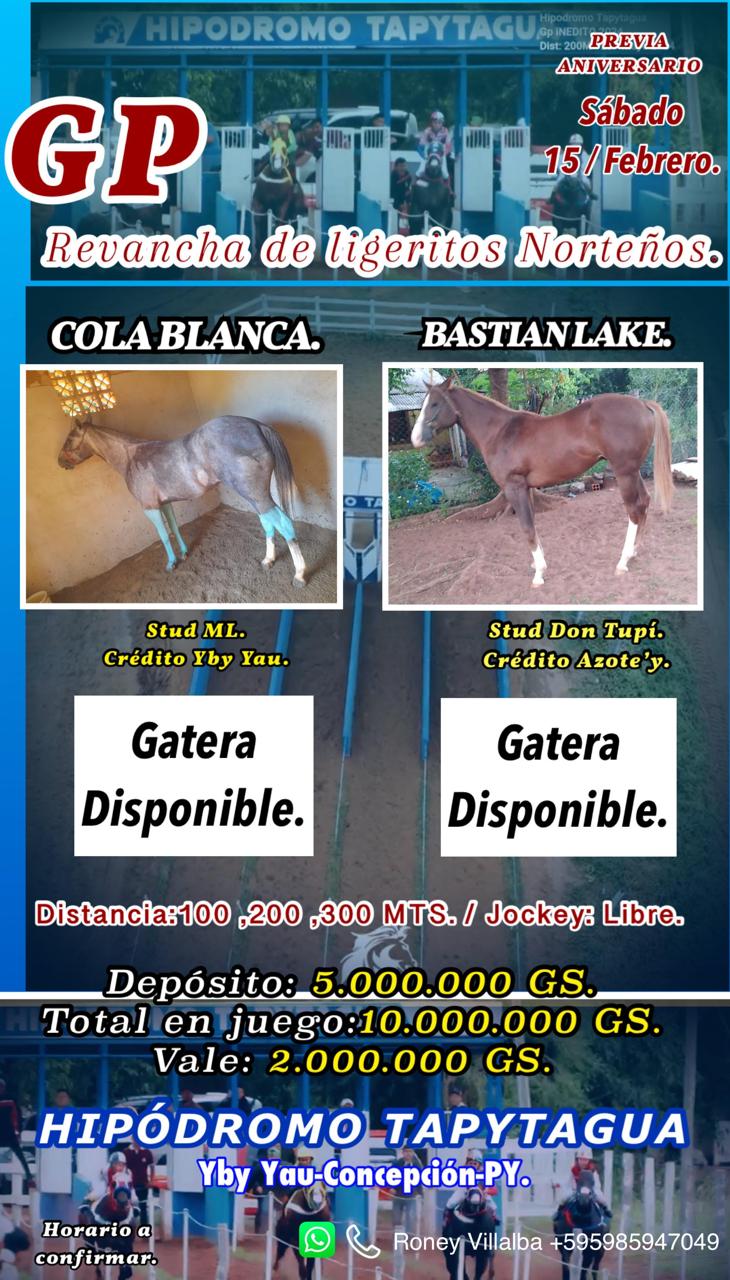 WhatsApp Image 2025-02-10 at 21.03.46