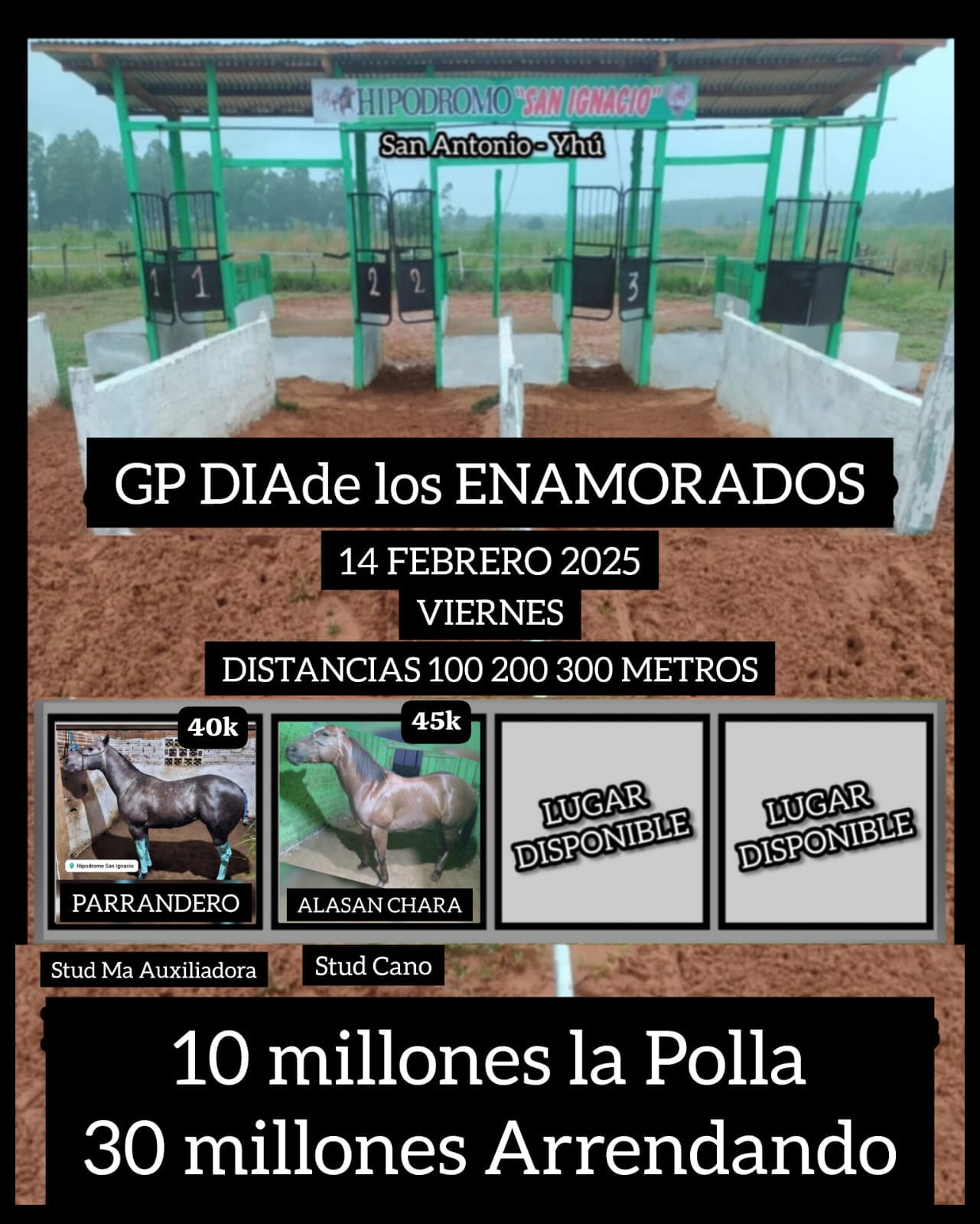 WhatsApp Image 2025-02-11 at 10.56.05