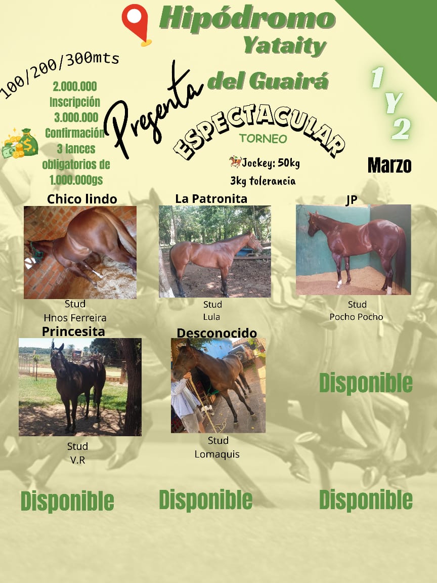 WhatsApp Image 2025-02-11 at 22.45.52