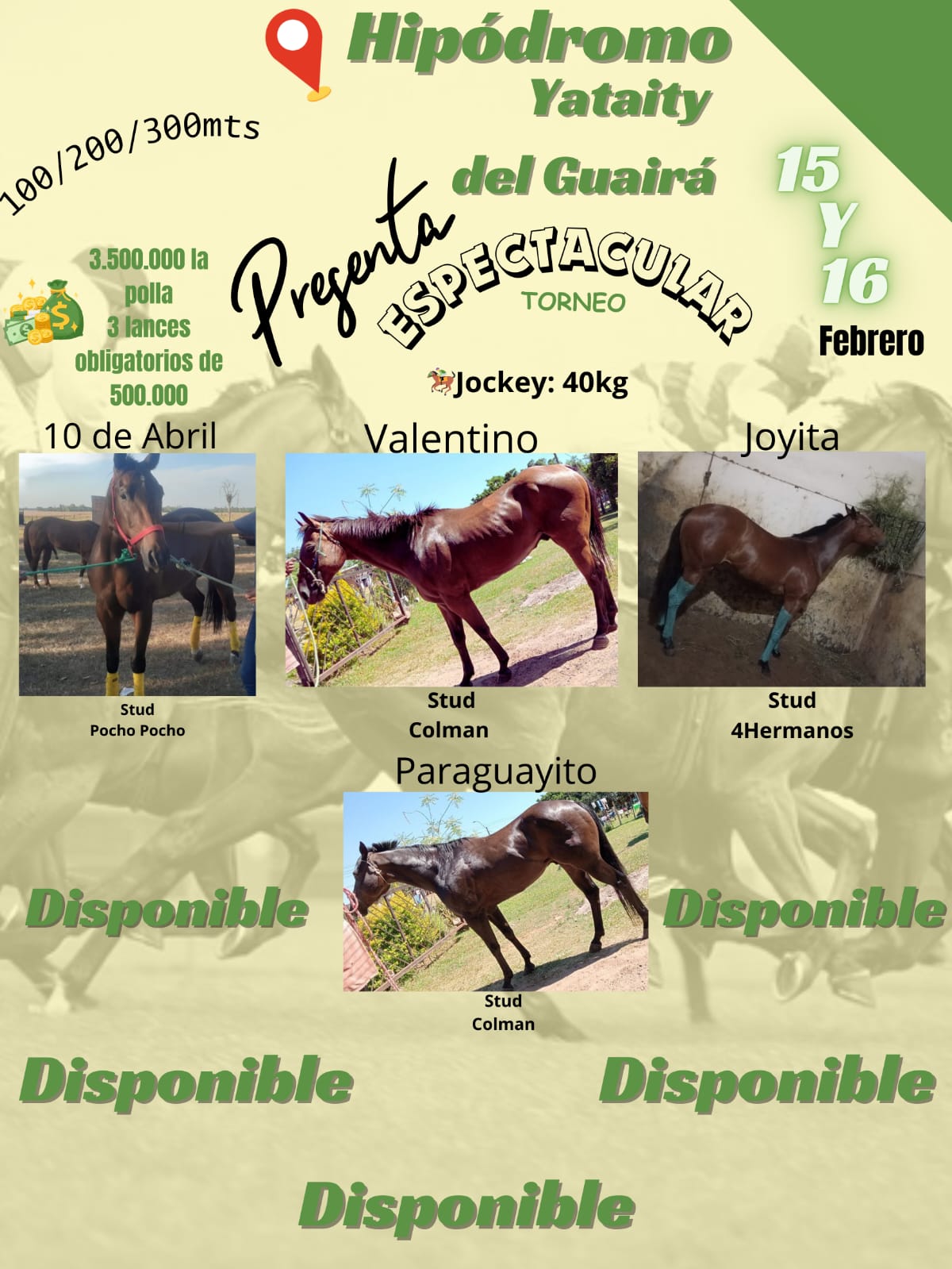 WhatsApp Image 2025-02-11 at 22.45.53