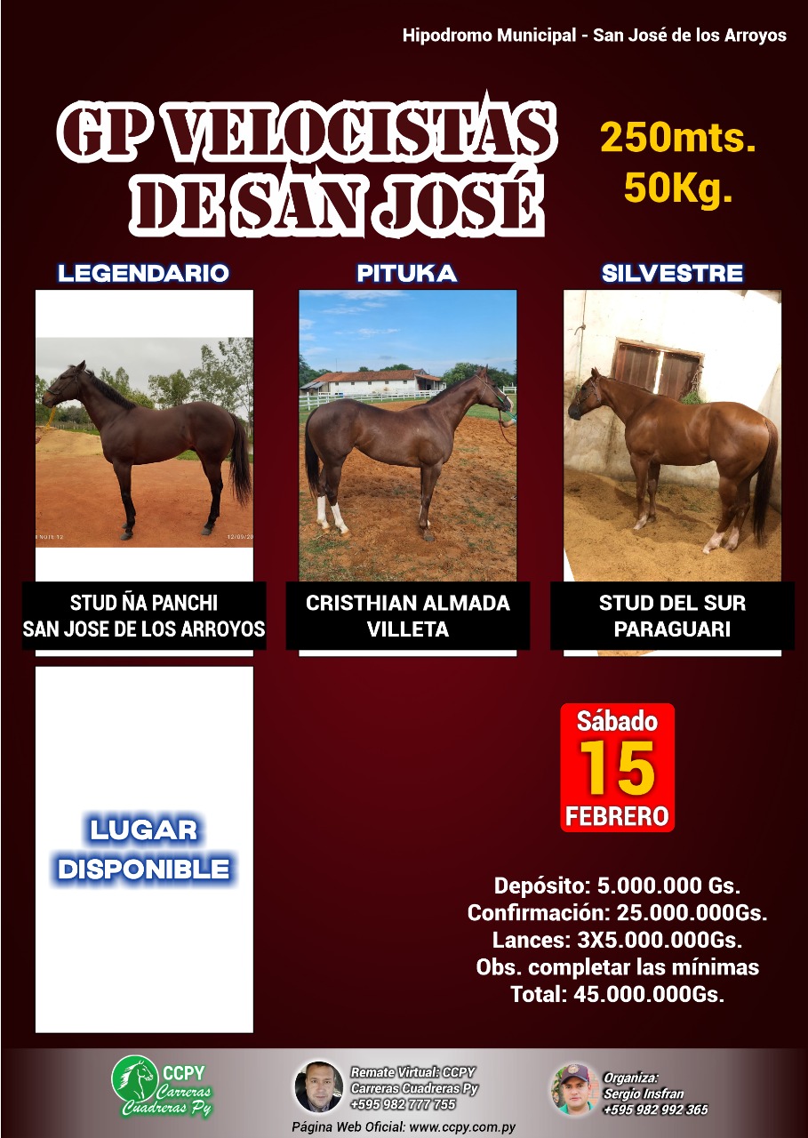 WhatsApp Image 2025-02-12 at 06.53.16