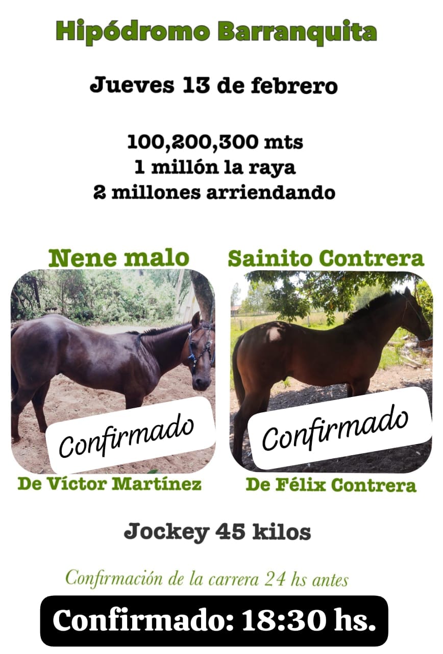 WhatsApp Image 2025-02-13 at 18.50.48