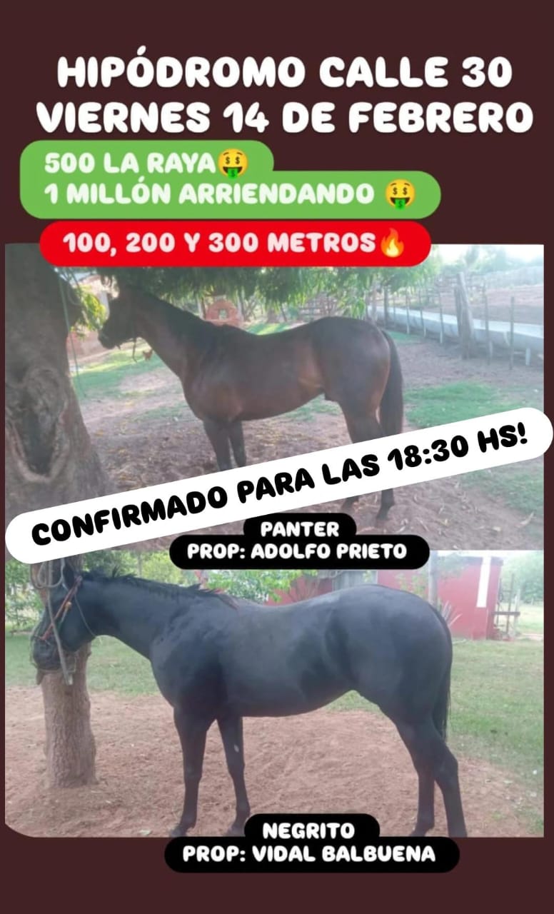 WhatsApp Image 2025-02-13 at 21.05.48