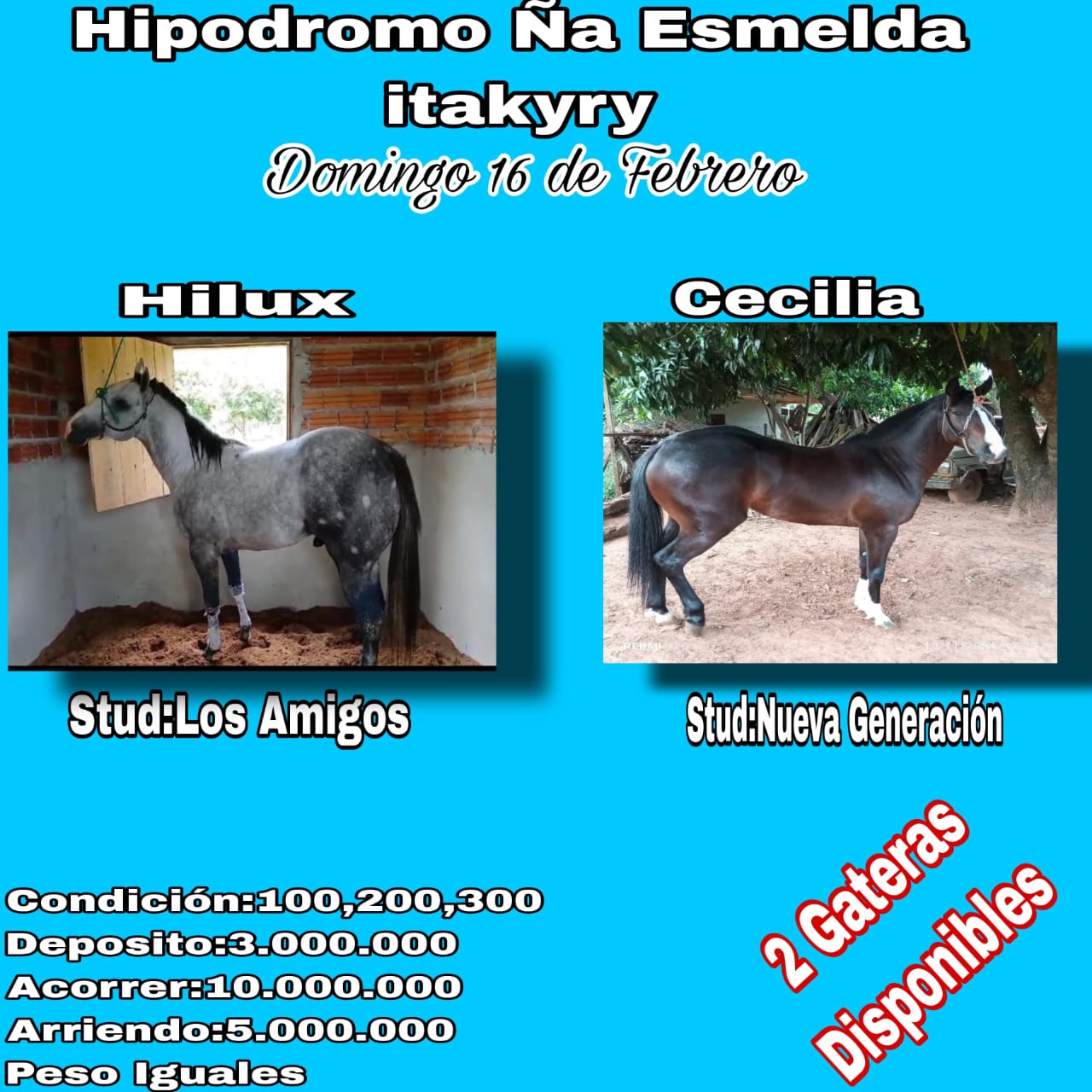 WhatsApp Image 2025-02-14 at 10.13.01