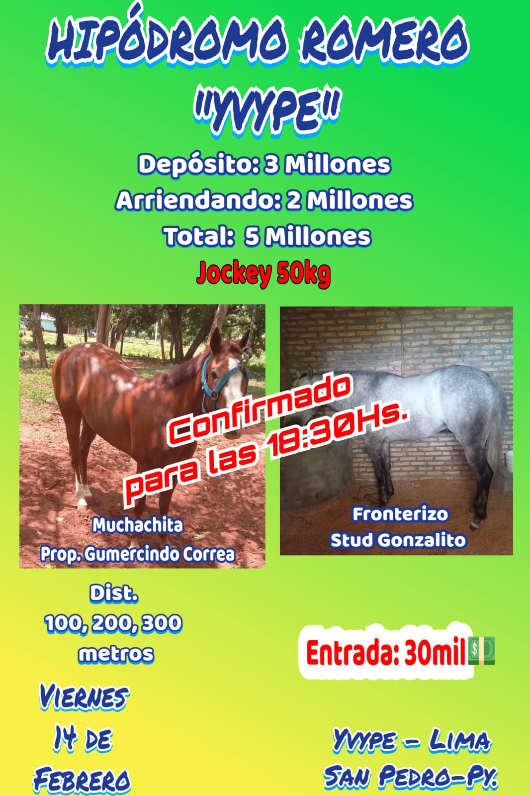 WhatsApp Image 2025-02-14 at 19.36.07