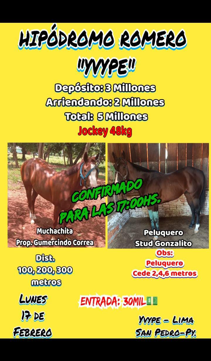 WhatsApp Image 2025-02-17 at 11.37.17