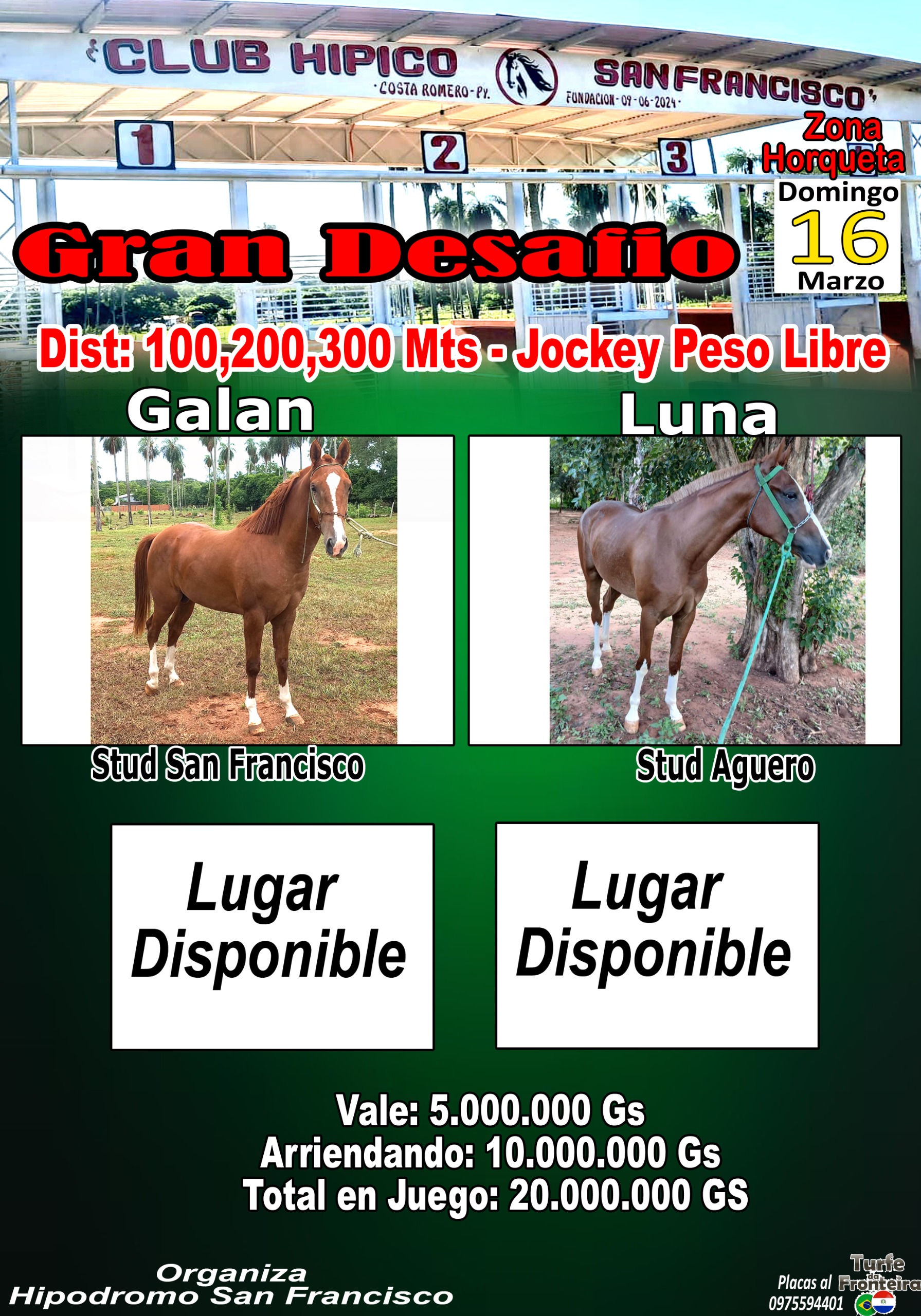 WhatsApp Image 2025-02-18 at 13.04.19