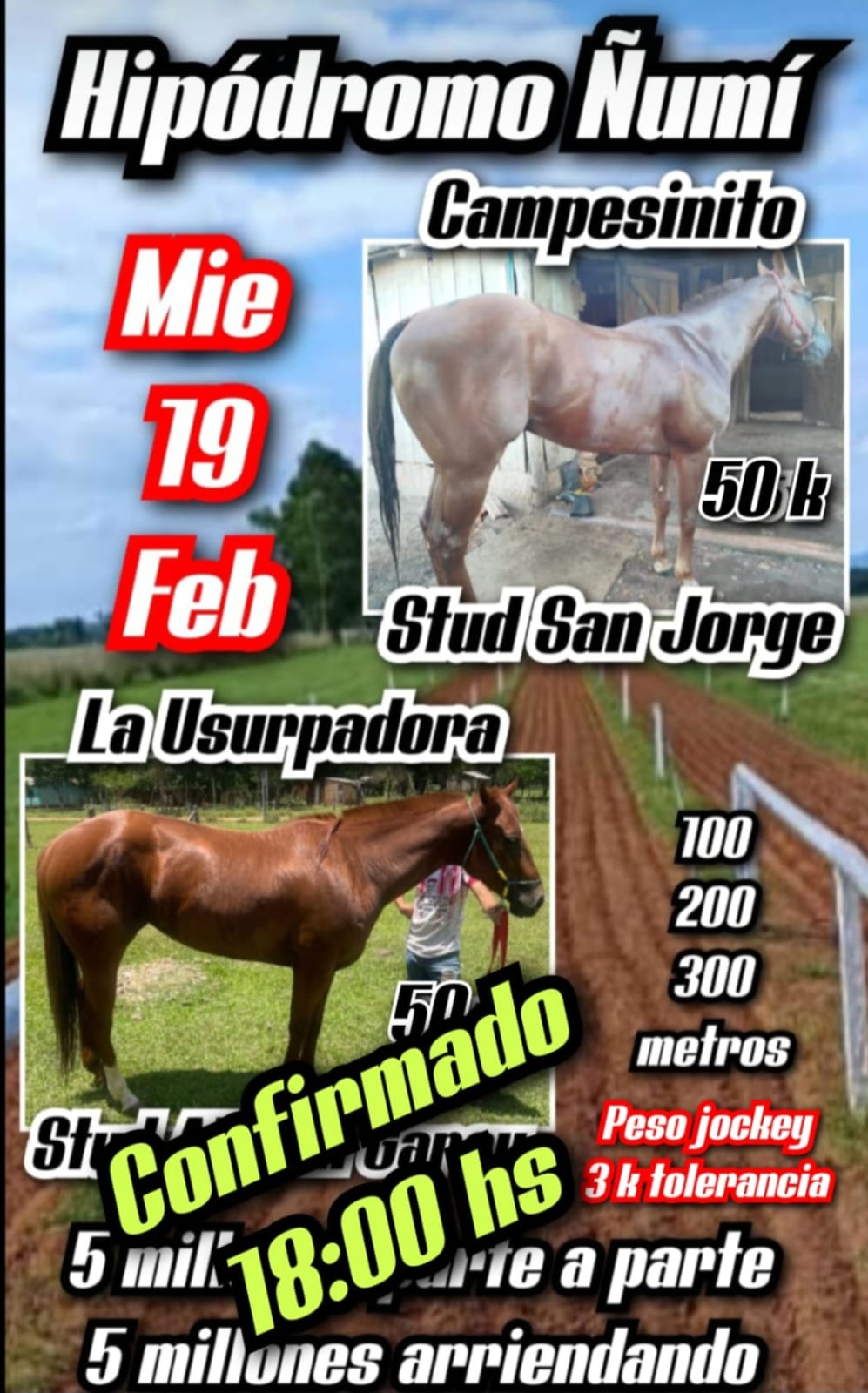 WhatsApp Image 2025-02-18 at 19.45.04