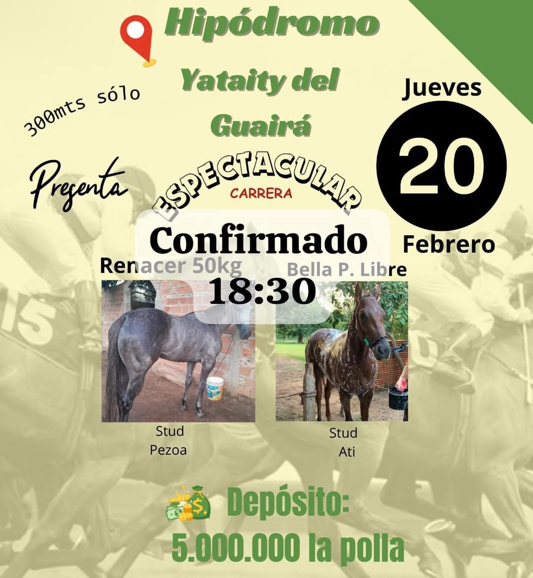 WhatsApp Image 2025-02-19 at 15.14.57