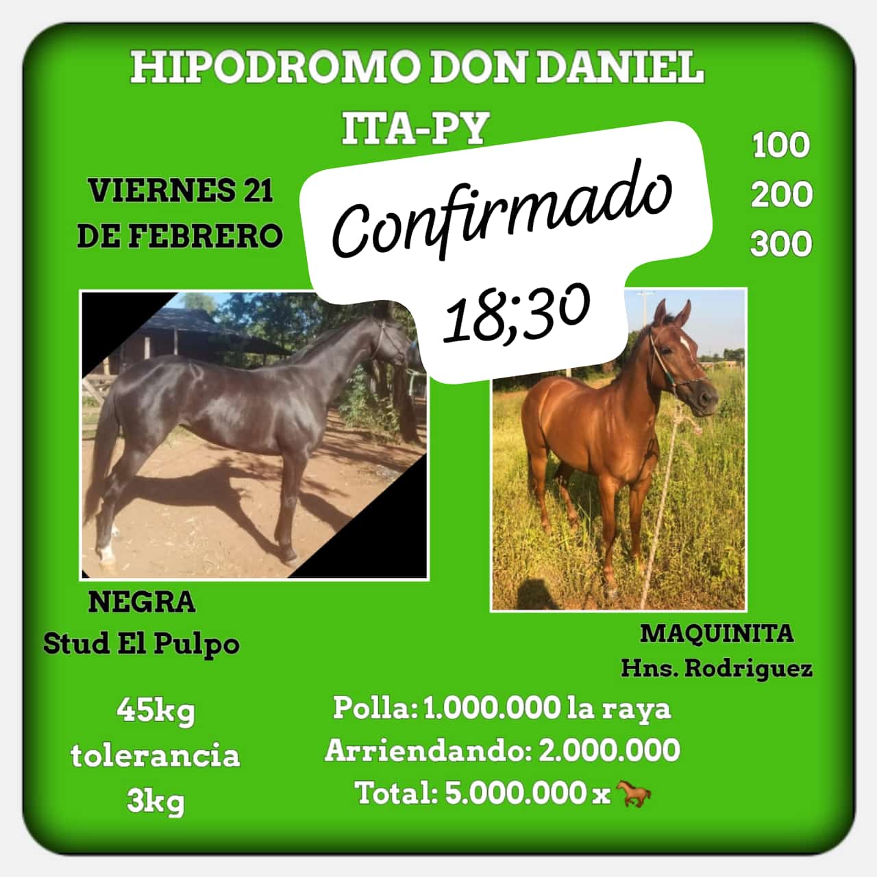 WhatsApp Image 2025-02-20 at 14.13.09