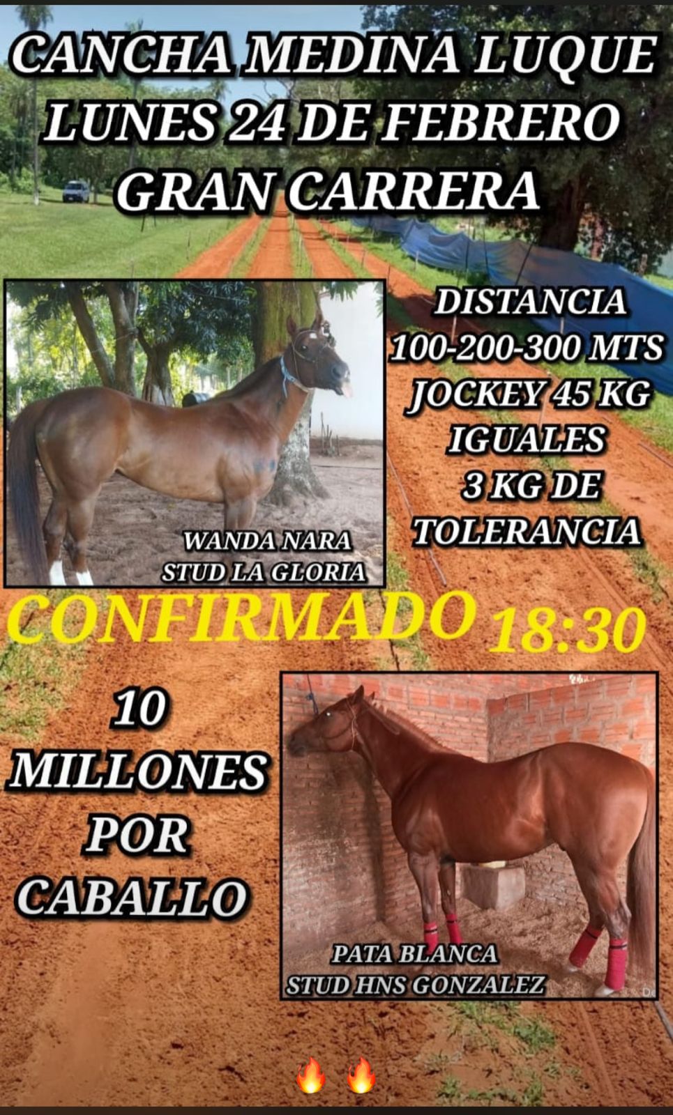 WhatsApp Image 2025-02-23 at 22.12.02