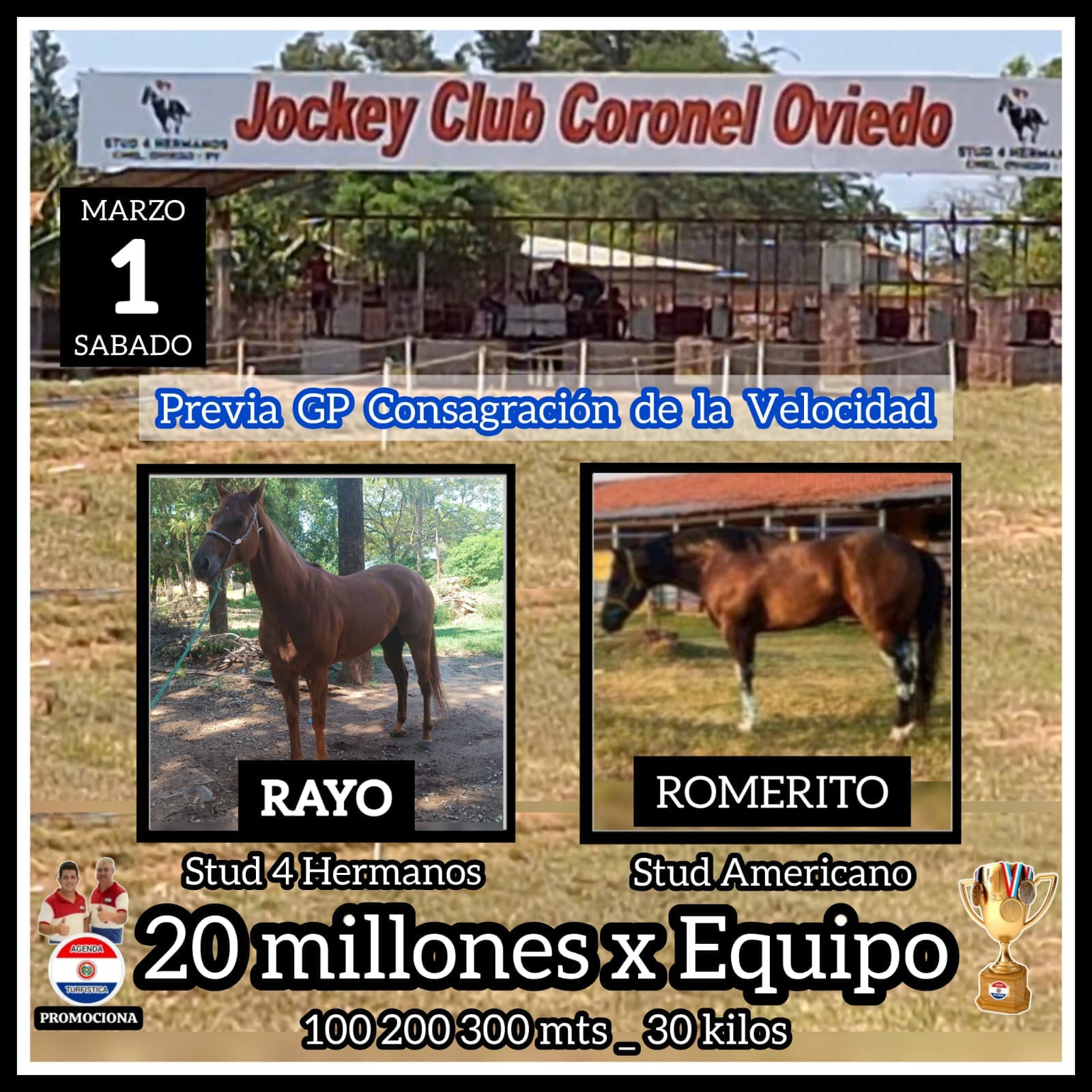 WhatsApp Image 2025-02-24 at 20.45.29 (1)