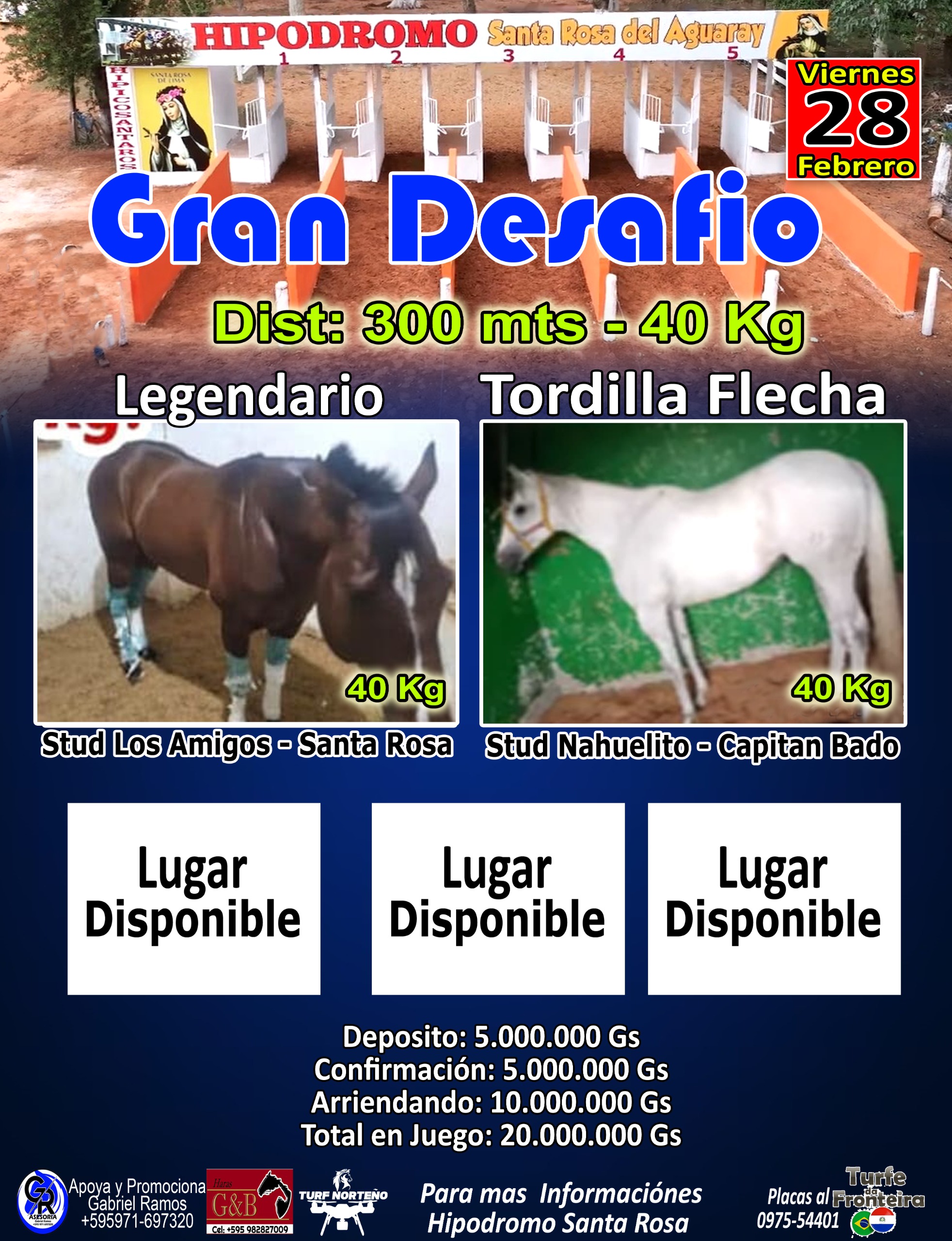 WhatsApp Image 2025-02-24 at 22.12.53