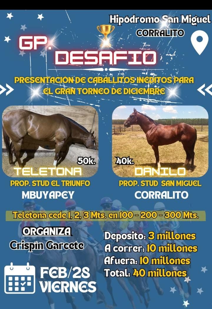 WhatsApp Image 2025-02-25 at 11.04.34 (1)