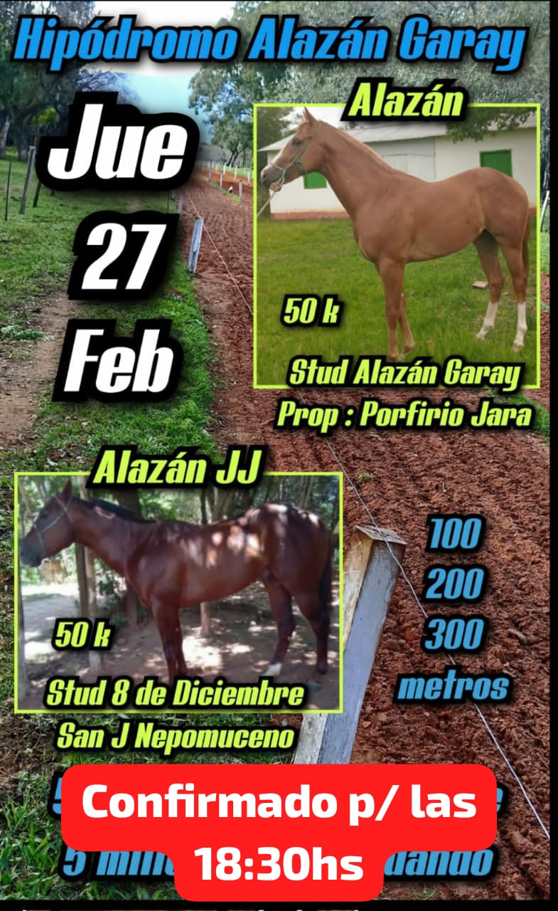 WhatsApp Image 2025-02-26 at 16.08.40