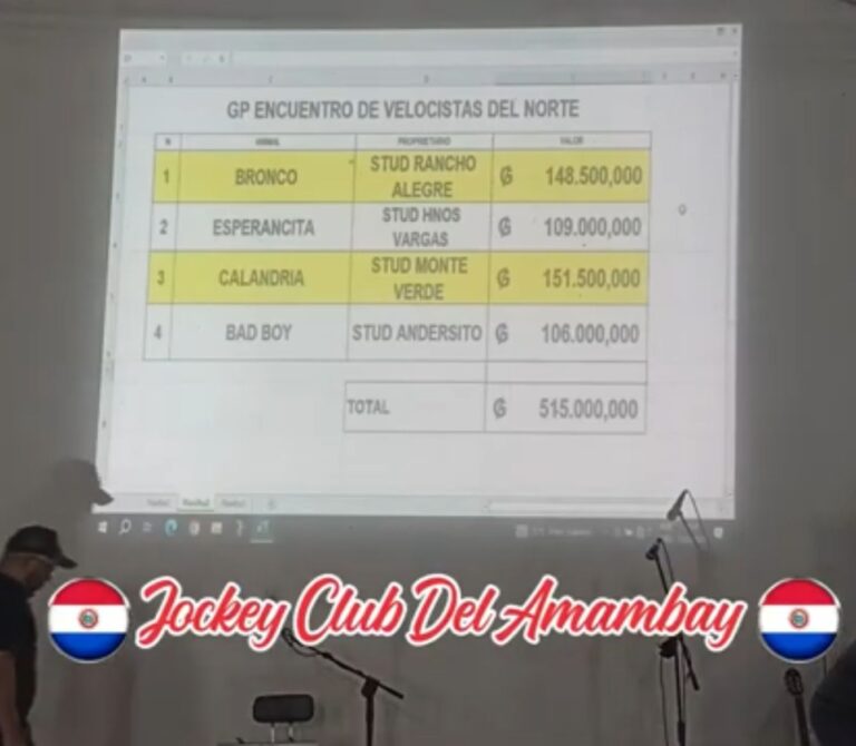Total Jogado Bronco