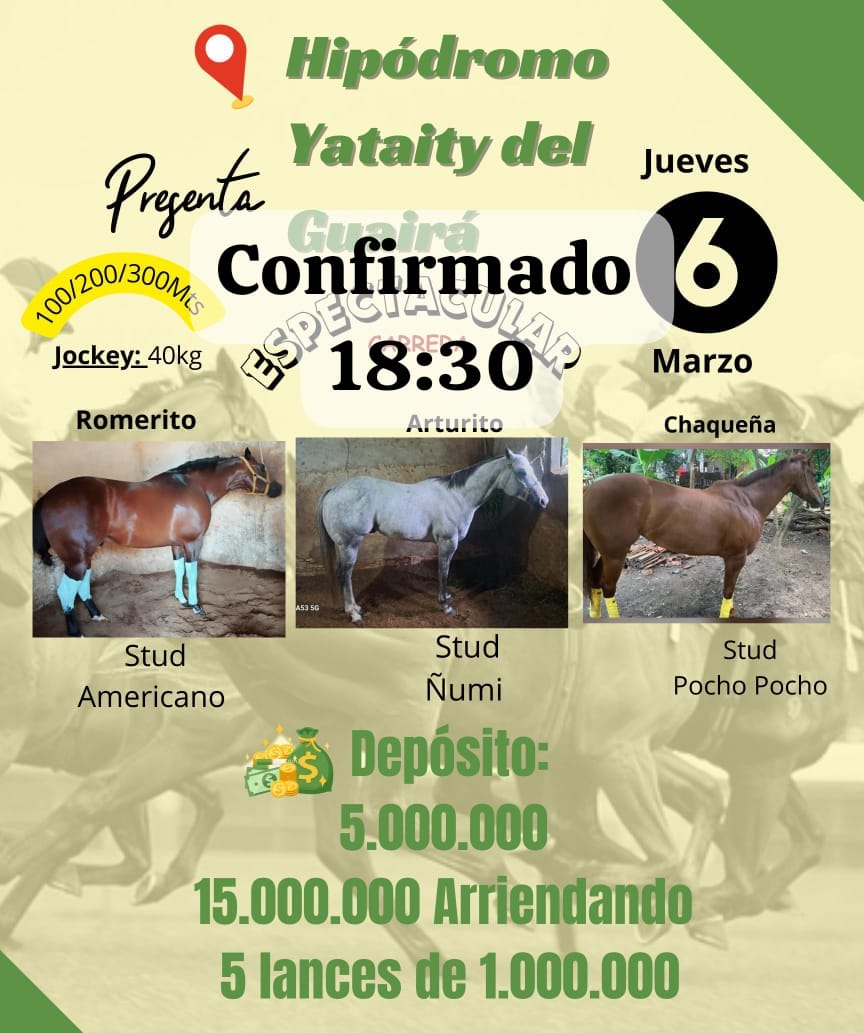 WhatsApp Image 2025-03-05 at 19.43.47