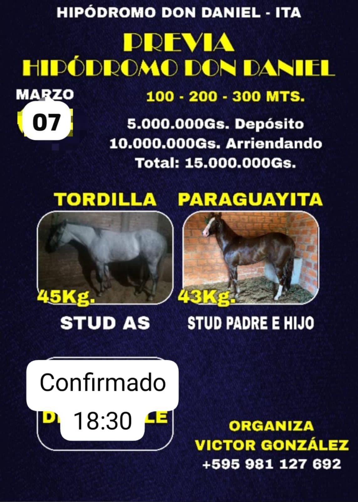 WhatsApp Image 2025-03-06 at 14.41.31