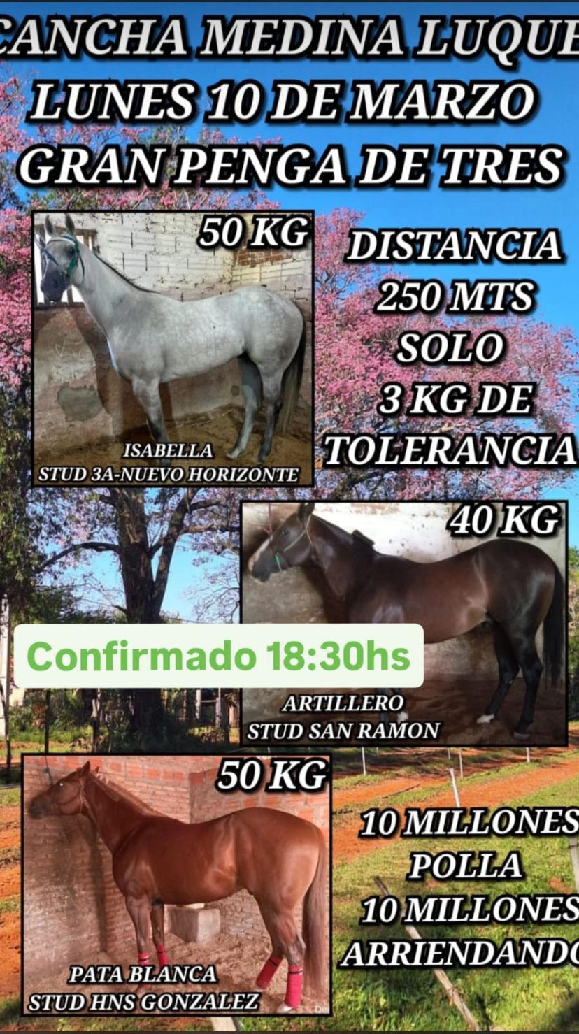 WhatsApp Image 2025-03-09 at 19.11.56