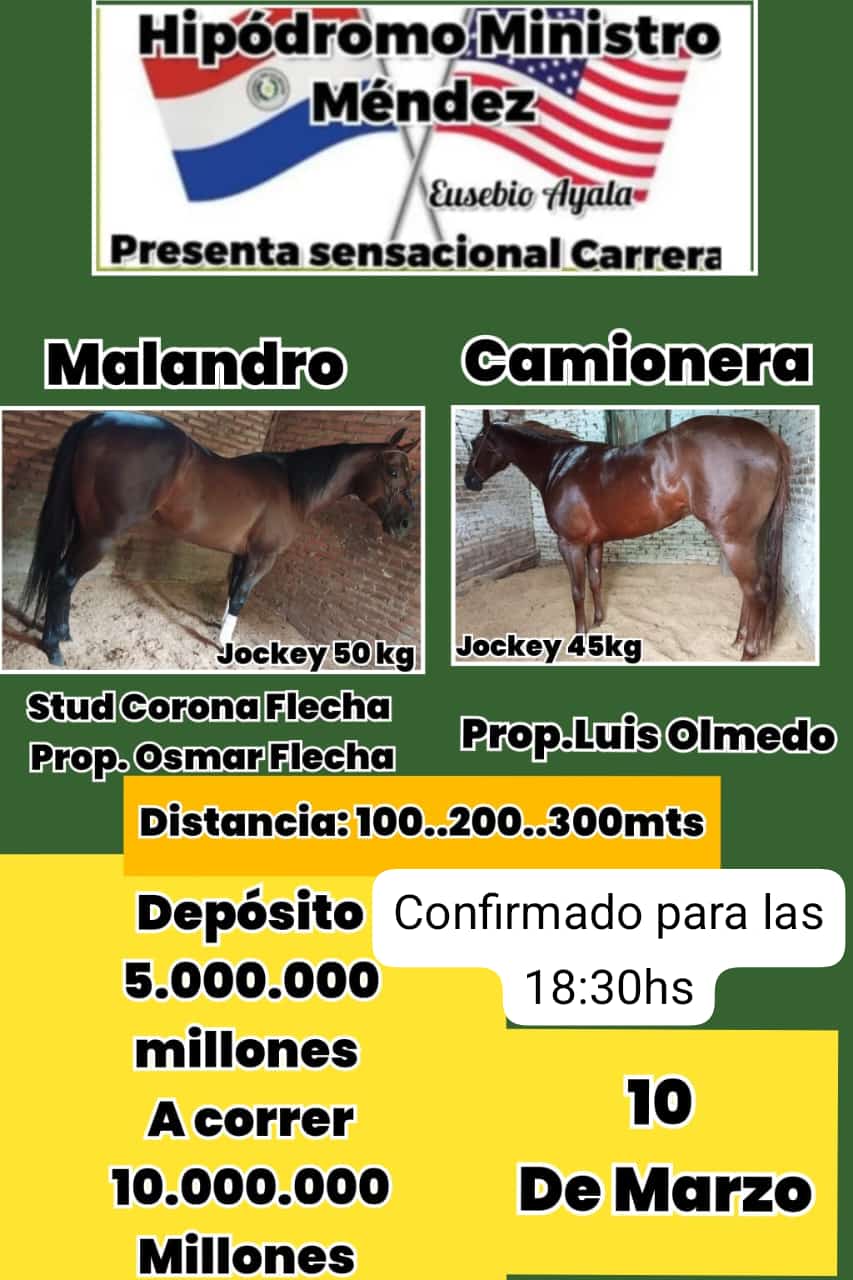 WhatsApp Image 2025-03-09 at 19.29.18