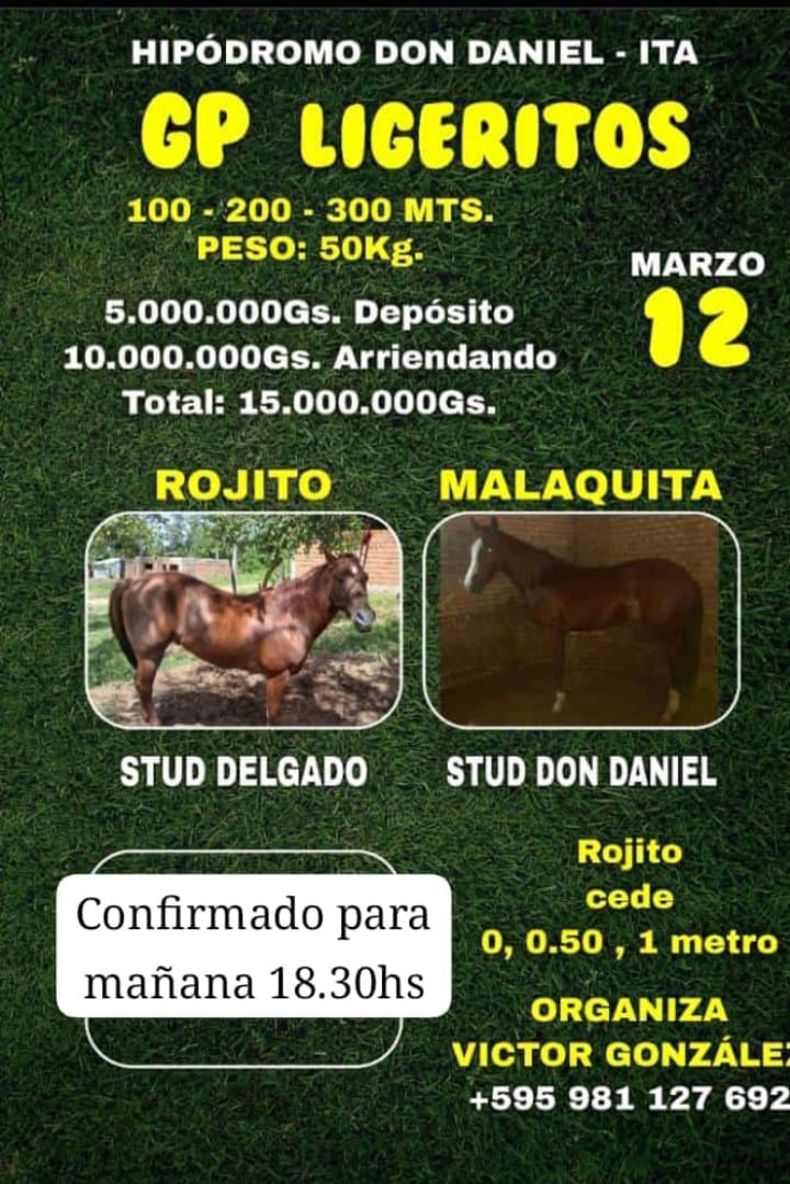 WhatsApp Image 2025-03-11 at 13.46.56