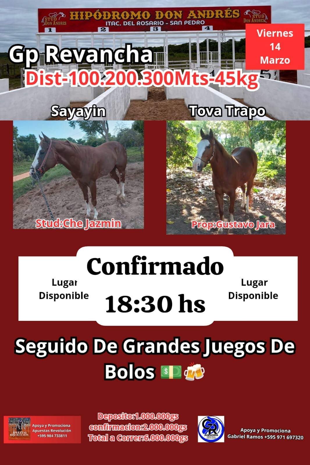 WhatsApp Image 2025-03-13 at 13.29.11 (1)