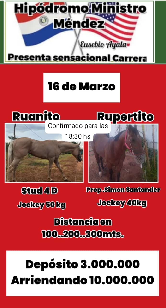 WhatsApp Image 2025-03-15 at 18.14.13