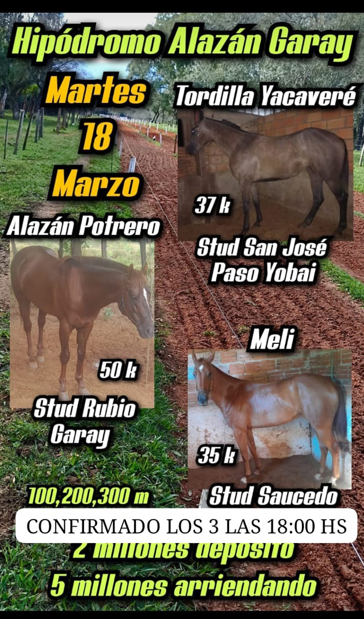 WhatsApp Image 2025-03-17 at 22.31.31