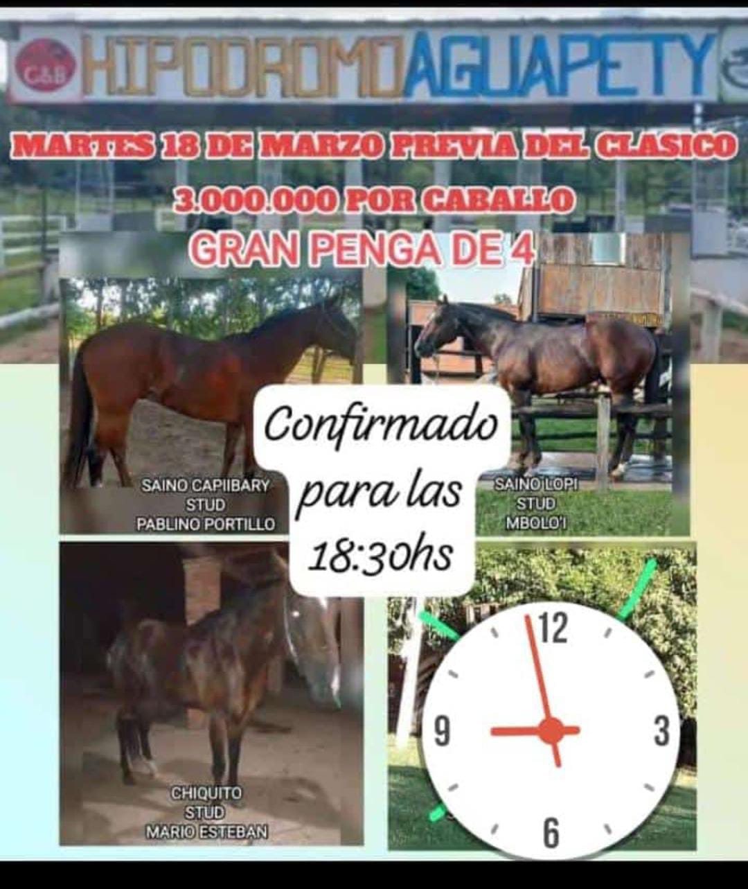 WhatsApp Image 2025-03-18 at 09.52.58