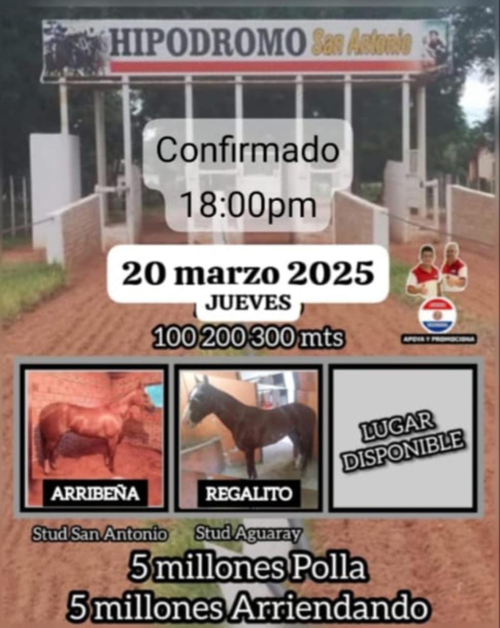 WhatsApp Image 2025-03-19 at 11.33.30